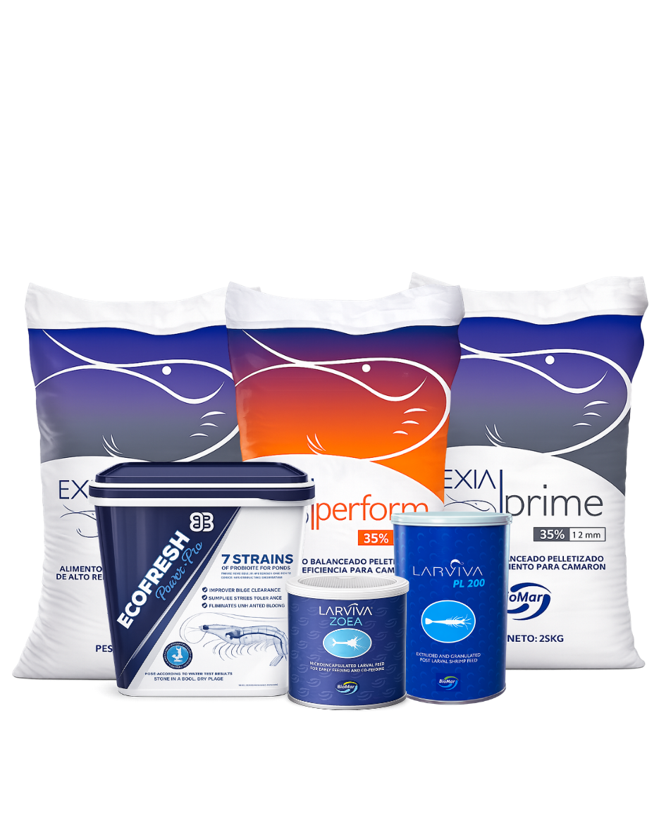 Productos Grupo Vega
